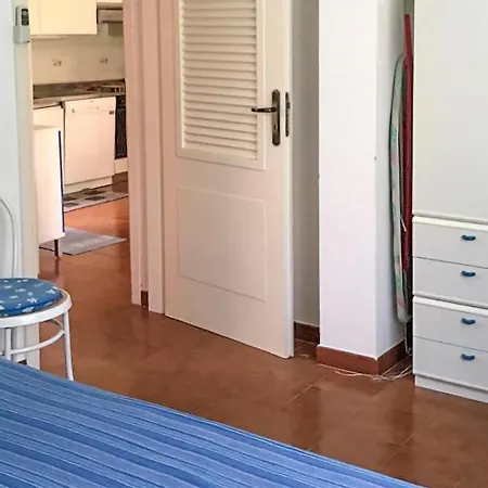 Apartment Pet Friendly Apartment