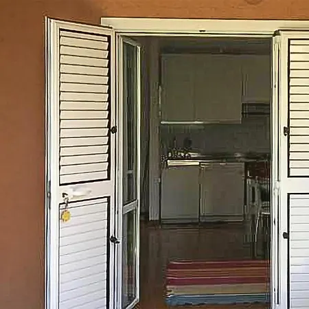 Pet Friendly Apartment Apartment